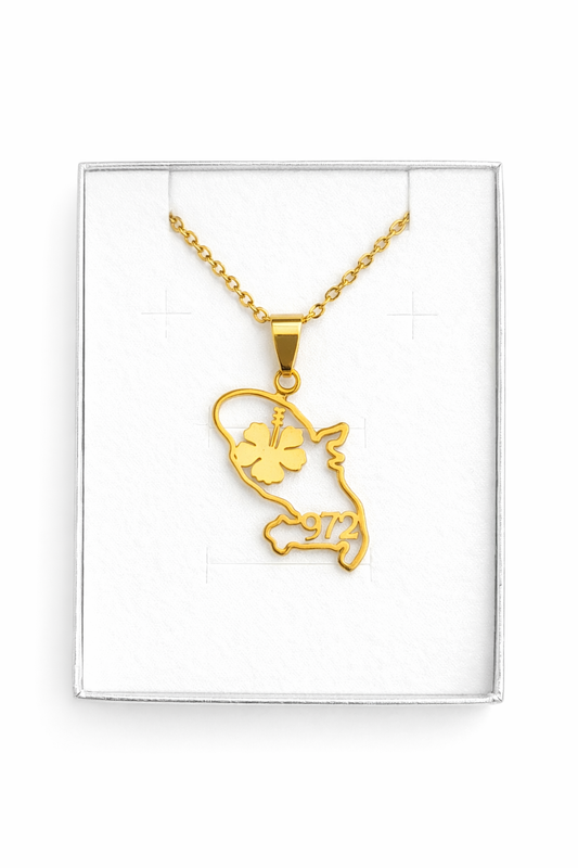 Pendentif et Chaine Doré ou Argent Carte Martinique 972